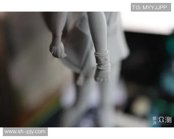 赵丽独家揭秘网球技巧与心得分享助你提升球技的秘密之道